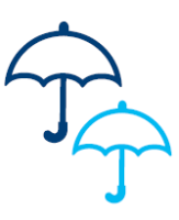 Comprehensive Supplementary Benefits