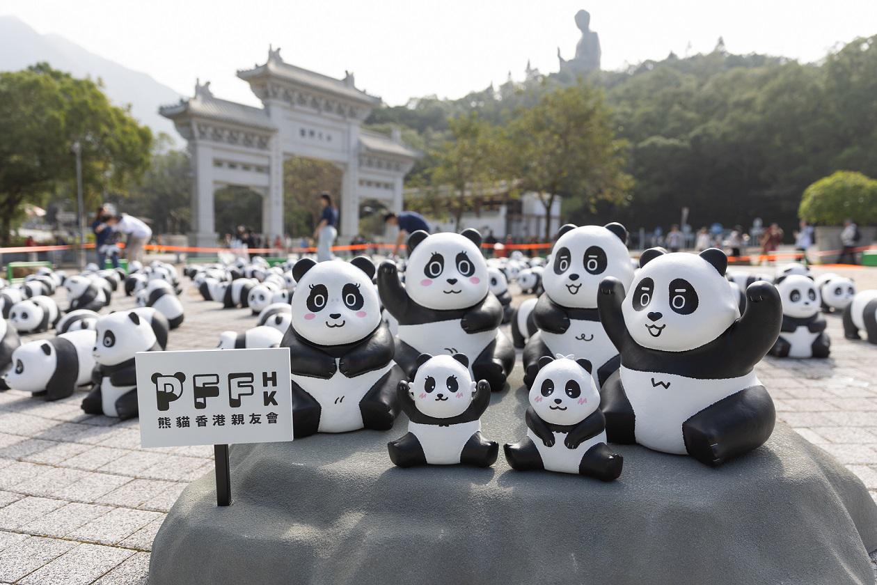 YF Life fully supports for the organizer AllRightsReserved (ARR) in bringing the largest panda exhibition in Hong Kong, "PANDA GO! FEST HONG KONG".